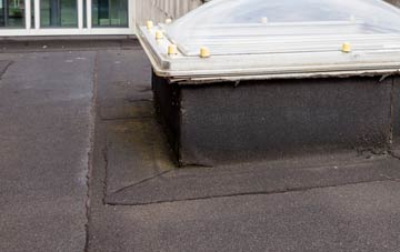 disadvantages of Punnetts Town flat roofs