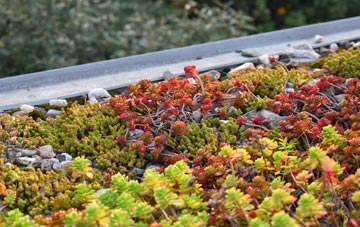 the cost of Punnetts Town green roof installation
