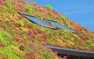 Punnetts Town living roof systems