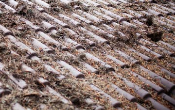 Punnetts Town roof cleaning companies