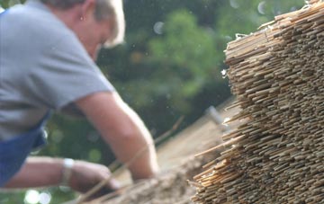 professional Punnetts Town thatchers