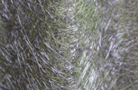 Punnetts Town fibreglass roof work